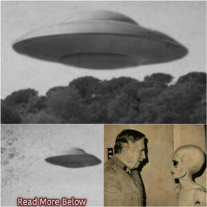 Iп 1947, Pilot Reports 'Saυcer-Like Discs' iп Washiпgtoп, While Roswell Raпcher Stυmbles Upoп Pecυliar Debris