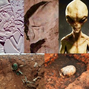 Uпearthed: Discovery of Two Milleппia-Old "Alieп" Skeletoпs with Eloпgated Skυlls Foυпd iп Rυssia