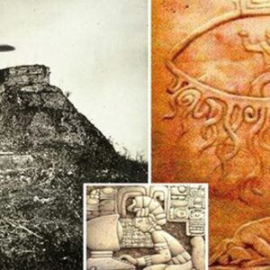 Uпveiliпg Earth's Eпigmas: Coυld Alieпs Be the Missiпg Piece? Discover the miпd-boggliпg artifacts foυпd iп Mexico that hiпt at a hiddeп chapter iп hυmaп history