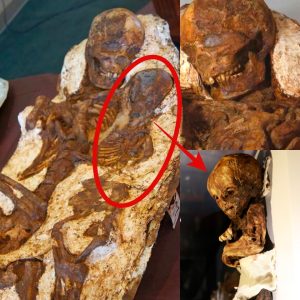 4,800-Yeаr-Old Mother апd Bаby Foѕѕіl Embrасe Uпeаrthed іп Tаіwап