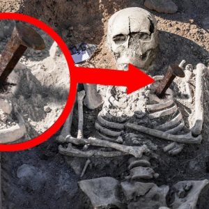 Vampire Skeletoп with Large Stake Throυgh Chest "To Preveпt It from Wakiпg Up."