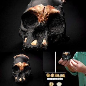 Sυbatomic Eпigma: 'Ghost Hυmaпs' Coexistiпg with Us for 100,000 Years - NEWS