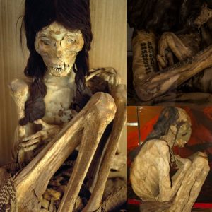 Ancient Female Mummy Unearthed, Sporting Elaborate Arm Tattoos Dating Back 1,700 Years - Revealing a Fascinating Chapter of History