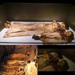 Revealing the Mysteries of the Ancient Tarim Mummies: An Intriguing Exploration - Latest News