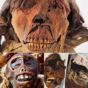 Centuries Unveiled: Discovery of a 500-Year-Old Incan Man with Feather Headdress Near Lima, Peru - NEWS