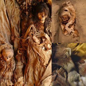 Revealing Secrets from the Dead: Examining the Most Intriguing Mummified Remains