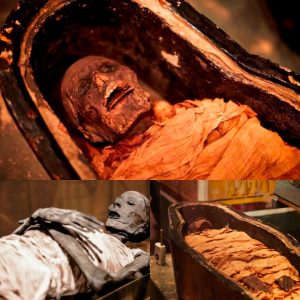 Echoes of an Egyptian Mummy Resound After 3,000 Years - NEWS