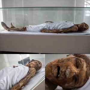 The Enigma of San Bernardo's 'Natural Mummies': Dozens of Exceptionally Preserved Bodies Baffle Experts, Defying Explanation - Breaking News