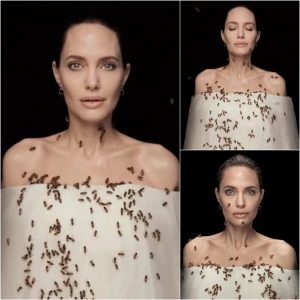 Angelina Jolie Advocates for Conservation: A Pivotal Moment Amidst the Buzz of Bees - Breaking News