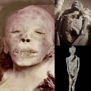 Young Prince Mummy Unearthed: Possible Son of Tiye Amehotep and Thutmose