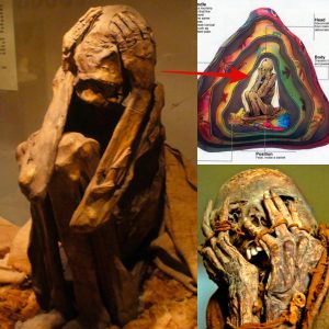 This is what the interior of a Paracas "mummy bundle" would appear like. - NEWS