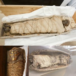 Ancient Mystery Unveiled: Egyptian Mummy Reveals Evolution of Mortuary Rituals