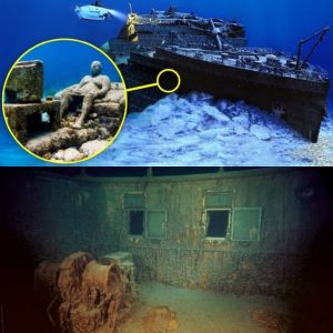 Breaking Unveiling the Ghost Ship in the Bermuda Triangle: Solving a 76-Year Mystery.