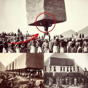 Breaking: Experts Shocked: Newly Uncovered Photos of Great Pyramid Construction Baffle Historians.