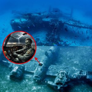 Breaking: Uncovering History - The 64-Year Submersion of a Helldiver Aircraft in Lower Otay Lake