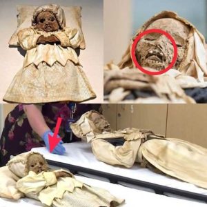 Breaking: Chilling Discovery: 300-Year-Old Mummy of Mother and Child Unearthed in Church Catacombs Reveals Ancient Pain of Tens of Thousands of Children