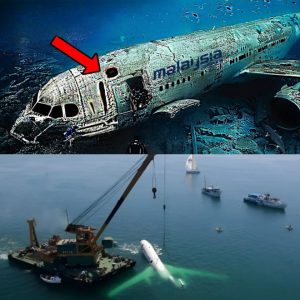 Breaking: Terrifying Discovery: Mysterious Flight 370 Found Floating Near Remote Island, Completely Lifeless.