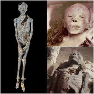 Breaking: Royal Revelation: Young Prince Mummy Unearthed, Suggesting Lineage of Tiye, Amenhotep, and Thutmose.