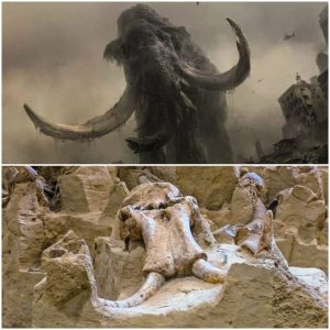 Archaeologists Astounded: Over 60 Mammoth Fossils Unearthed in South Dakota Fossil Pit.