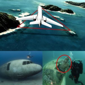 Breaking News: Unveiling the Mysteries: Air Disasters in the Bermuda Triangle