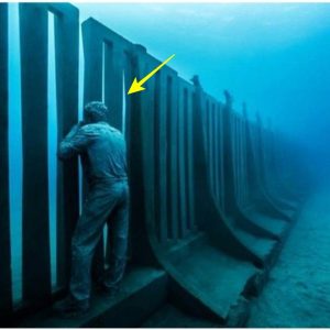 Was the wall surrounding the planet found at the bottom of the sea protected from something?