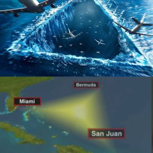 Breaking: Bermuda Triangle Mystery Solved - New Theory Emerges