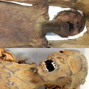 Breaking: Decoding the 'Screaming Mummy': Unveiling an Ancient Egyptian Enigma.