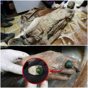 Breaking: Unveiling Secrets: Preserving the 700-Year-Old Chinese Mother's Mummy and Her Enigmatic Ring.