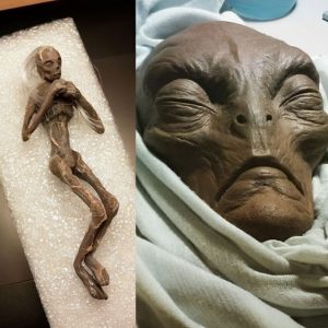 HOT NEWS: Found Deep In The Egyptian Pyramid It's Shocking The Alien Corpse Is Still Intact