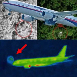 Breaking: Groundbreaking Discovery: MH370's Secret Jungle Location in Cambodia Changes the Aviation Story