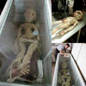 HOT NEWS: Startling Discoveries: Unveiling the Shocking Truth Behind Alien Corpses in China.