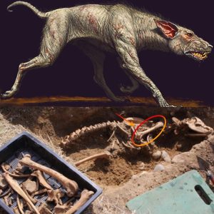 Breaking News: Discovered a 7-foot-tall skeleton of a hellhound relic that died 10 million years ago near an ancient monastery.