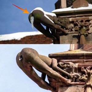 BREAKING NEWS: The Tale of Freiburg Minster Mooning Gargoyle: A Symbol of Stonemason's Revenge Against the City Council.