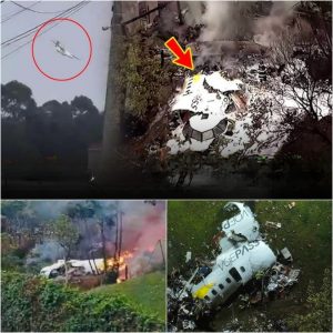 BREAKING NEWS: Tragic scene of Brazilian plane falling 5,200m in 1 minute, killing 61 people (VIDEO)