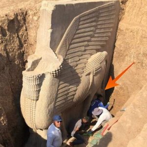 BREAKING NEWS: Ancient Wonder Unearthed: 2,700-Year-Old Alabaster Lamassu Sculpture Discovered in Iraq.