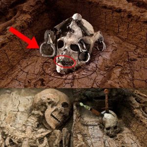 Excavation Nightmare: Discovery of Damaged Weapons and Chained Skulls Forces Archaeologists to Stop