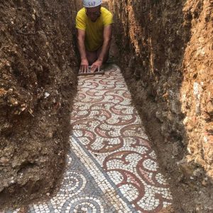 Hidden Treasure: Giant Roman Mosaic Found Under Turkish Farmer's Field