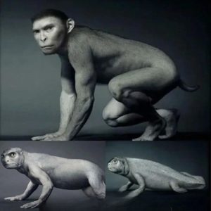 BREAKING NEWS: Ancient Creature Revealed: Exploring the Four-Legged Fossil from 380 Million Years Ago That Sheds Light on Humanity’s Origins.