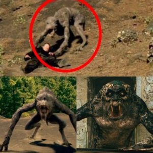 BREAKING NEWS: Mysterious Creature Found in Portuguese Desert Ignites Alien Theories and Public Confusion.